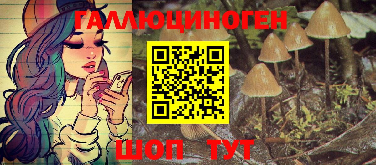 Псилоцибиновые грибы Psilocybine cubensis  Вход с VPN  Дюртюли 